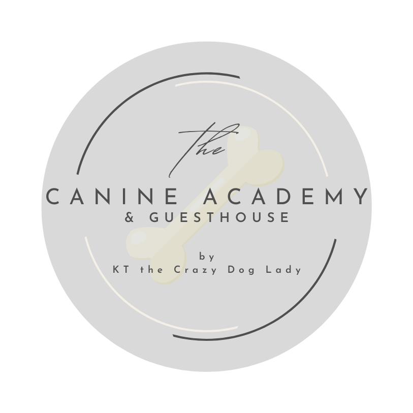 The Canine Academy & Guesthouse